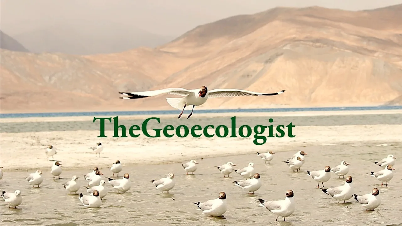 TheGeoecologist Live Stream