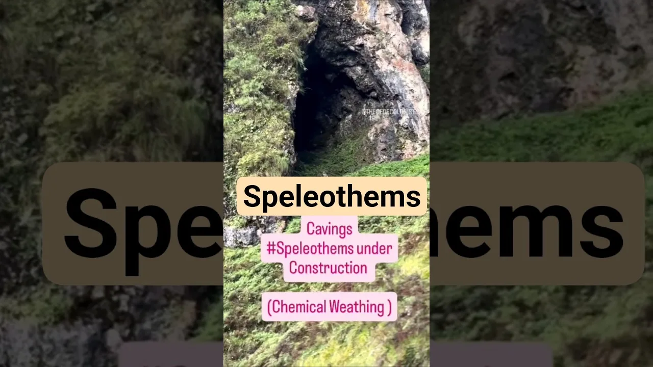 Understanding Speleothems formation #caves #weathering #thegeoecologist #shorts