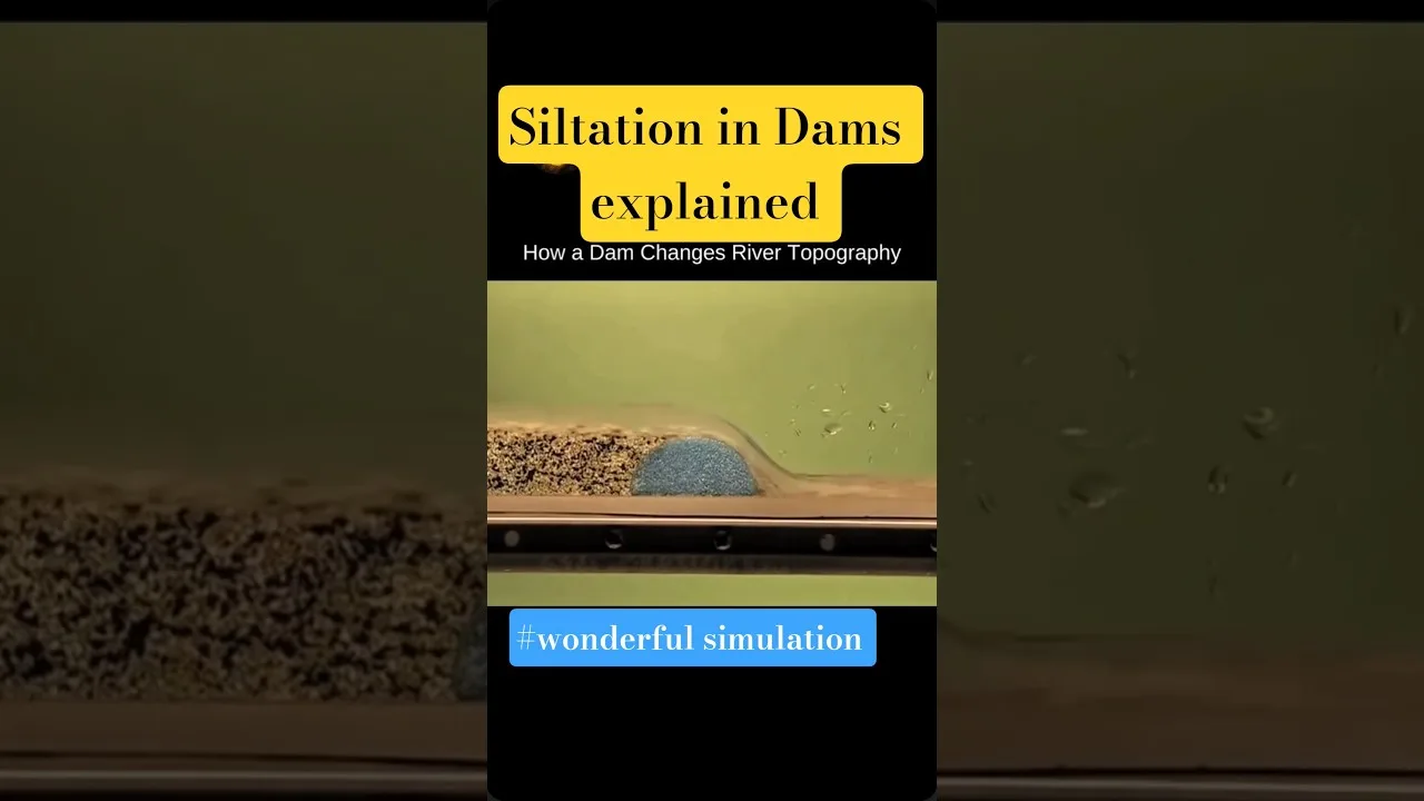 How siltation occurs in dams #river #siltation #dam #viralshorts #shorts