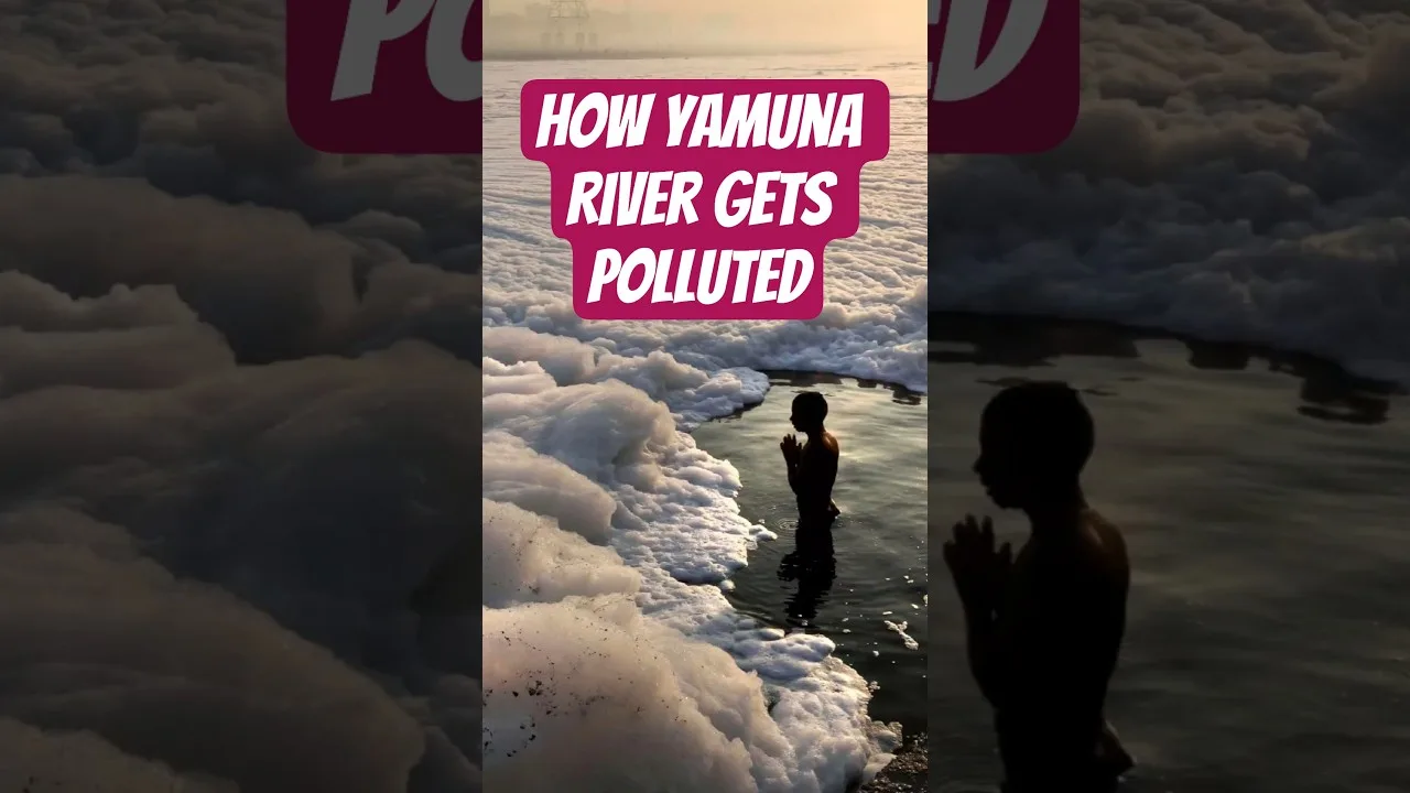 How Yamuna River Gets Polluted #thegeoecologist #yamunariver #yamunapollution #shorts