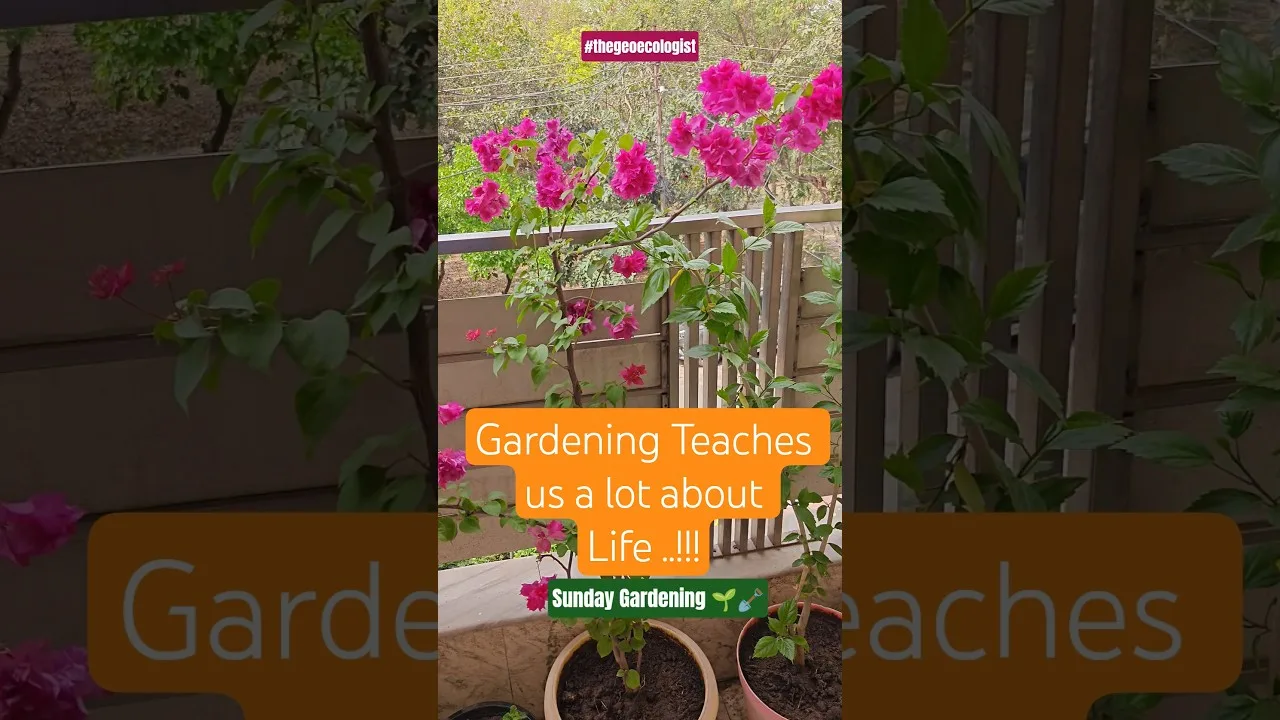 Gardening Teaches us a lot about Life #thegeoecologist #shorts