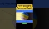 How seasons occur on earth #climate #seasons #thegeoecologist #shorts