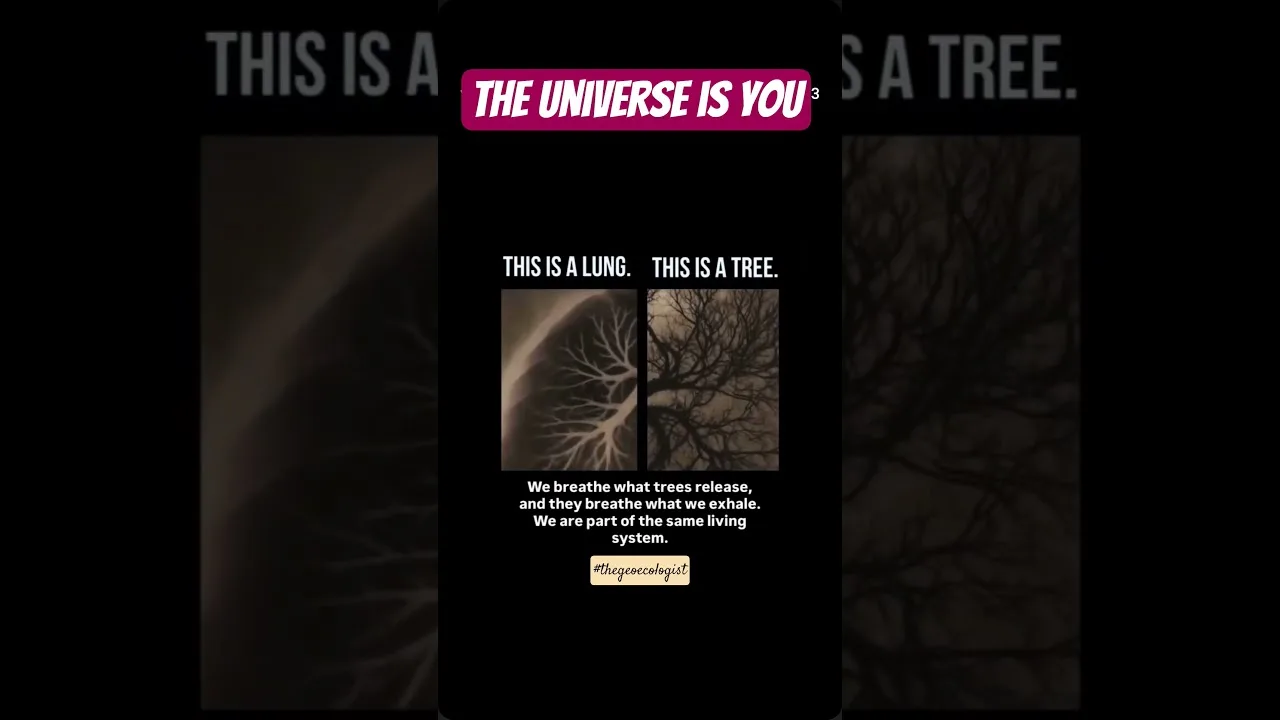 The Universe is You #viralshorts #thegeoecologist #universe #shorts