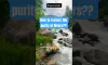 River Pollution - River Restoration #river #pollution #shorts