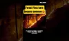 Forest fires in india have become common #climatechange #forestfires #viralshorts #shorts