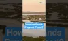 How wetlands prevent floods #wetlands #thegeoecologist #shorts