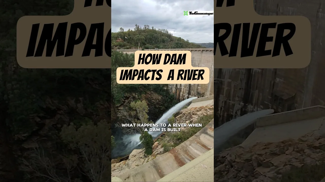 How dam Impacts a river #dam #river #thegeoecologist #shorts 1 How dam Impacts a river #dam #river #thegeoecologist #shorts