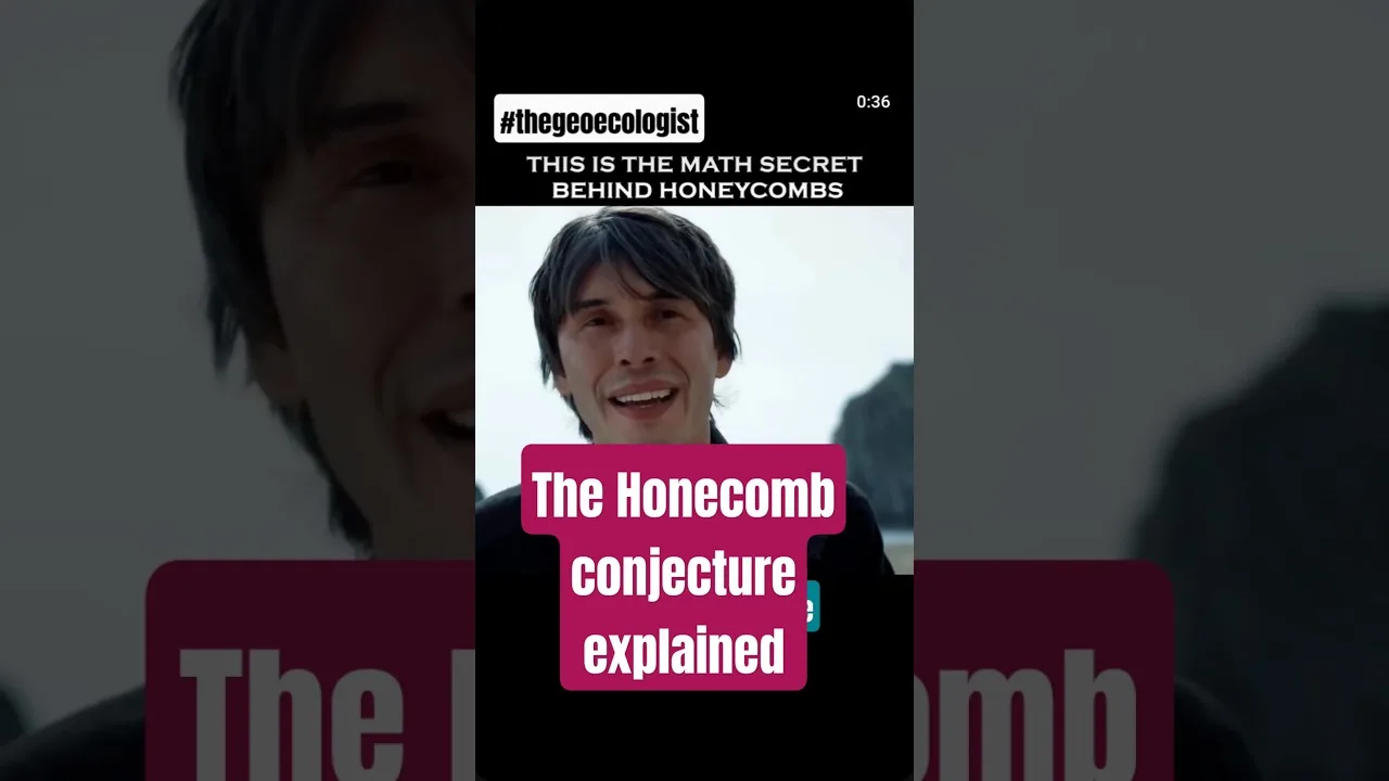 Honeycomb Conjecture: Why Bees Build Hexagons
