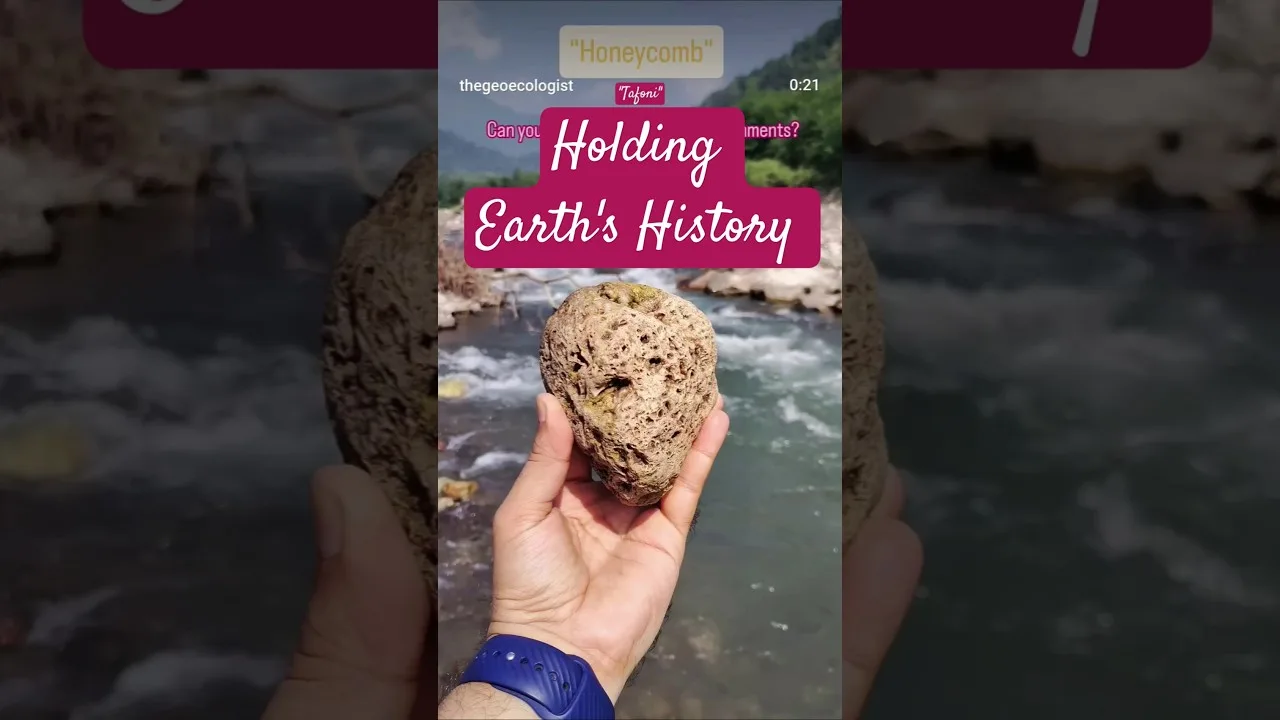 Beat Plastic Pollution: World Environment Day 2024 Action Guide