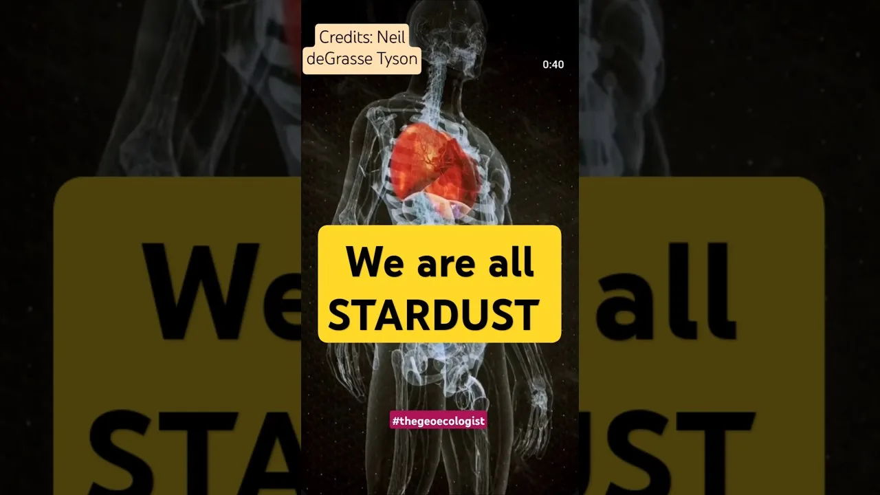 We Are Stardust: Neil deGrasse Tyson Explains Our Cosmic Origins